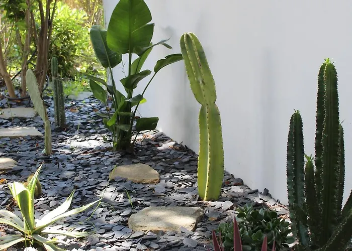 Les D'agosta Guest house