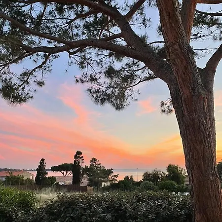 Πανσιόν Les D'agosta 3*