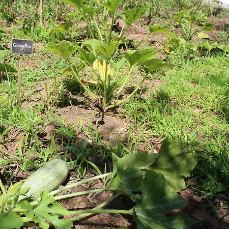 Konukevi Les D'agosta