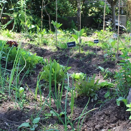 Les D'agosta Πανσιόν