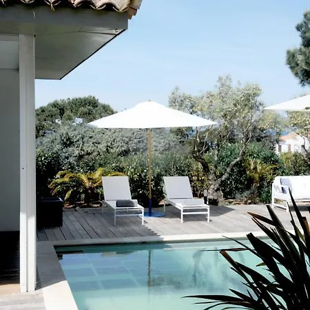 Πανσιόν Les D'agosta