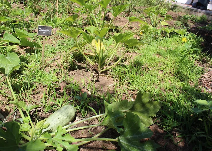 Pensjonat Les D'agosta