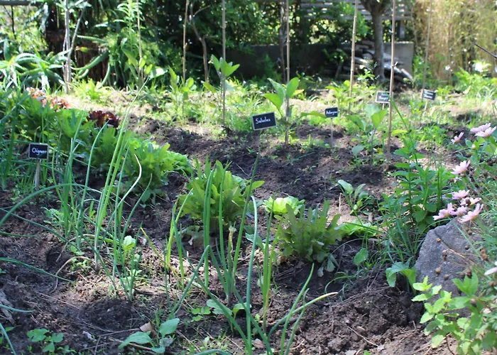 Les D'agosta Pensjonat